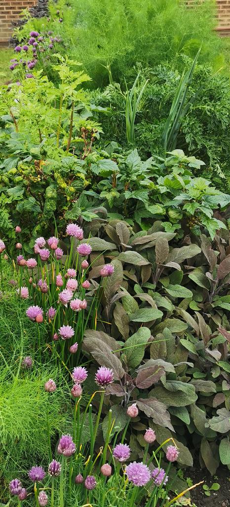 cavill perrin tweet media