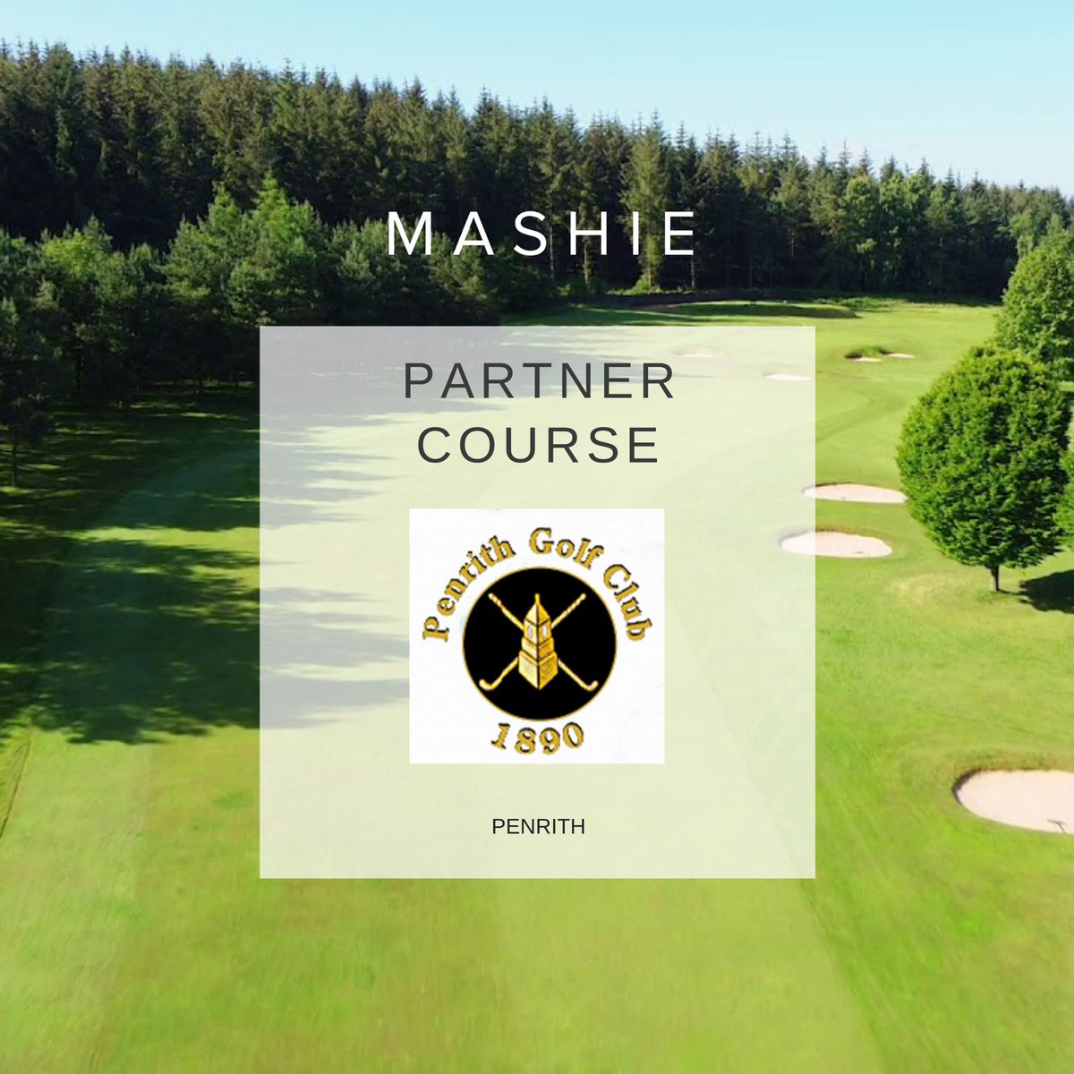 MASHIE Golf tweet media