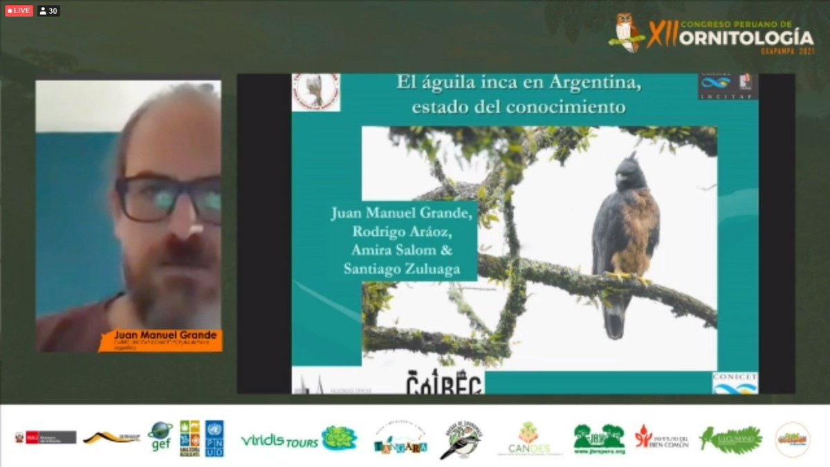 congresorniperu's tweet image. Juan Manuel Grande nos lleva a Argentina y a conocer el estado de #conservación del #águila inca en el Simposio de #Spizaetus isidori #XIICPO #Oxapampa #Peru #aves #ornitología