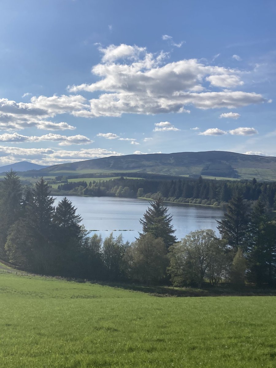 Lintrathen Cycles tweet media