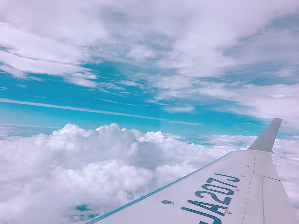 _mugimugi320's tweet photo. 思い出のある飛行機が退役しててショックを受けてたら夜が明けました😢
#ja207j https://t.co/mwMRLr7NjZ