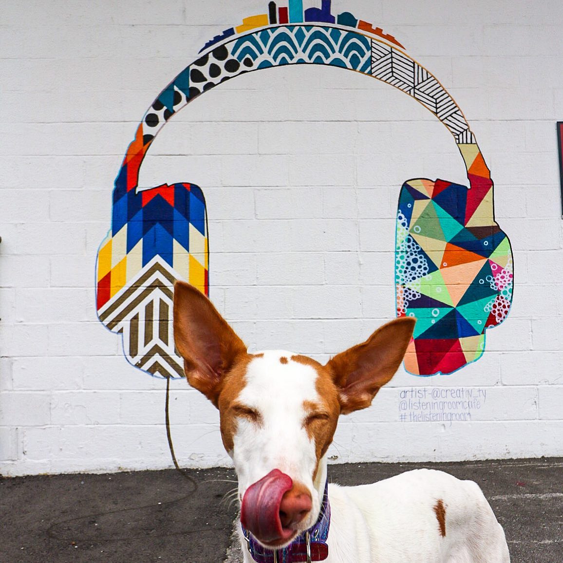visitmusiccity's tweet photo. Current vibes.😎Have you been to the new mural at the @listeningroom!?
#NashvilleisCreating #MusicCity
📷: Instagram / @altatheibizanhound https://t.co/h7AGP39mjn