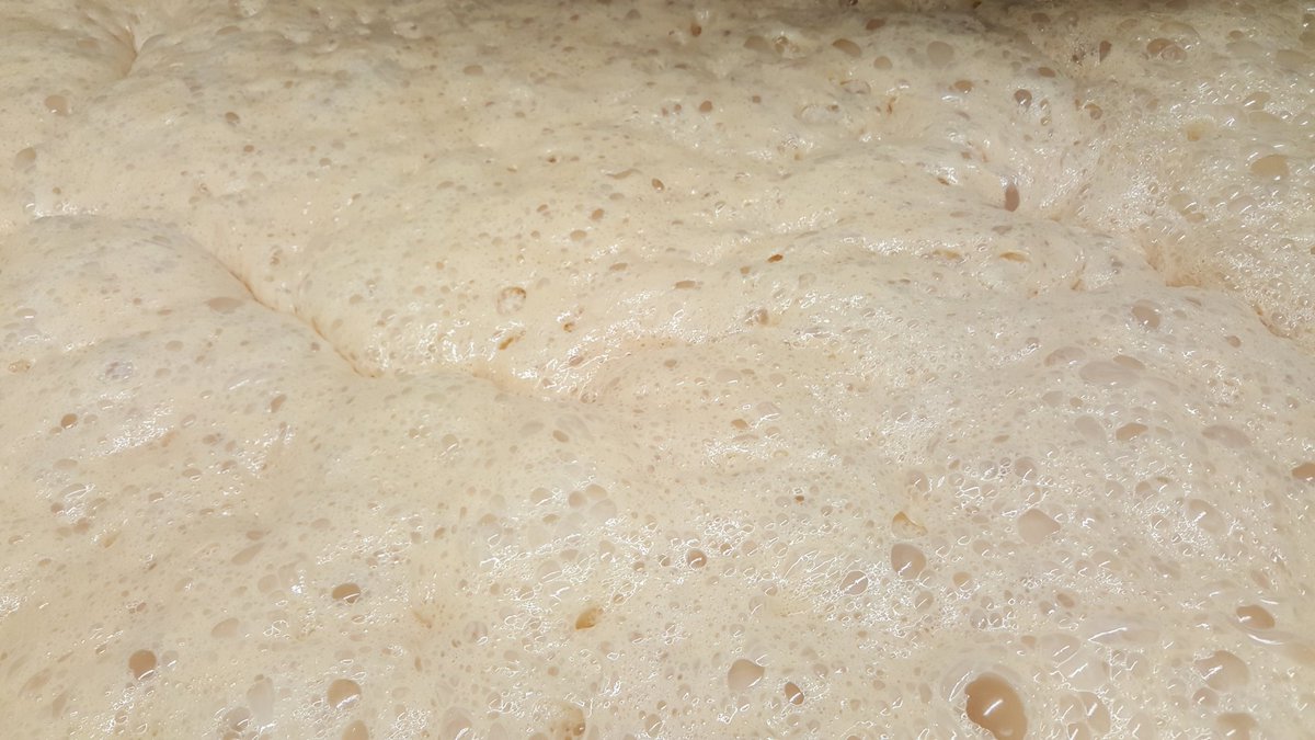 MPSMicro's tweet image. This yeast is very happy, very clean and well cared for. The brewer responsible for this yeast looks after it well. The beer this yeast helps to make is similarly clean and happy. 
Wonderful!