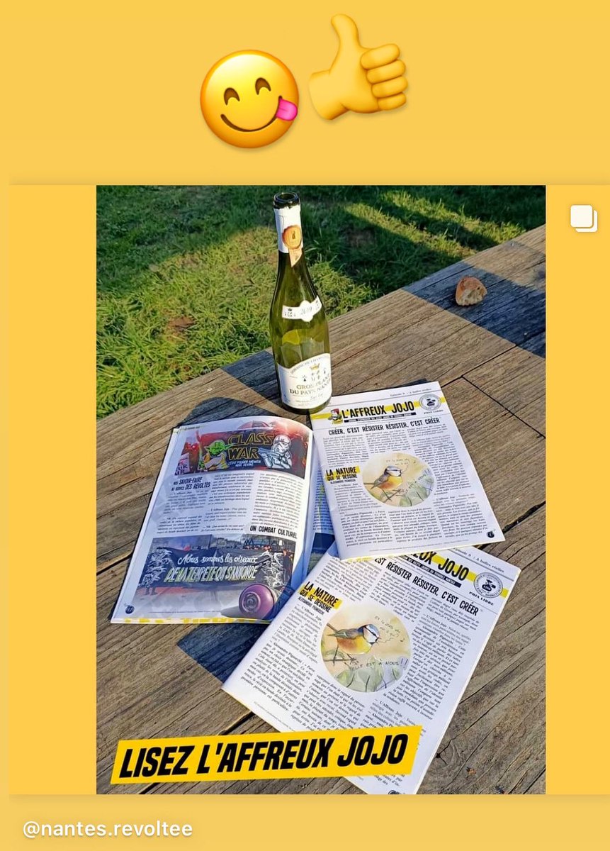 GNantais's tweet photo. 🤩 Voici le 8eme numéro de l’ #AffreuxJoJo . Numéro spécial : l’art dans les luttes avec des itw de @FredSochard @loicsecheresse @Nantes_Revoltee @Jim_DV #BlackLines #NoSe À PRIX LIBRE dans les manif de Nantes et alentours et manifestations de lutte! https://t.co/2POpNwgHWQ