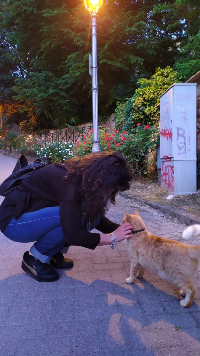 Incontri serali... 😻