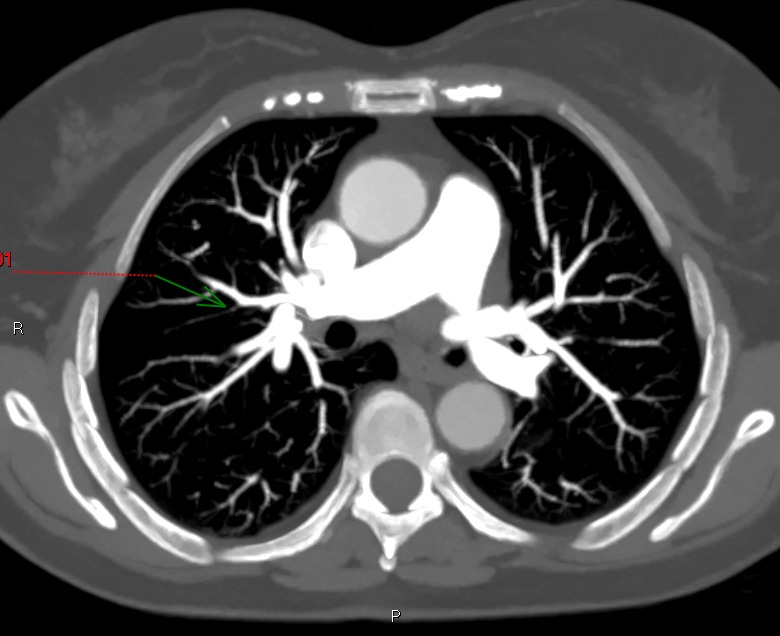 Eliseo Vañó tweet media