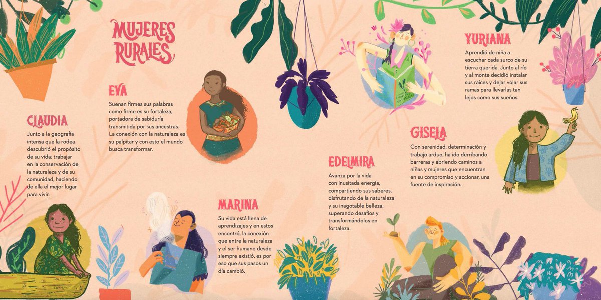 Sistema B Colombia 🇨🇴 tweet media