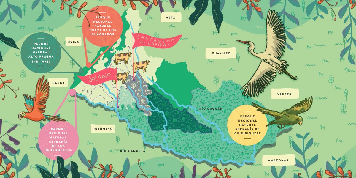 Actualmente este proyecto se encuentra en etapa de diseño y conceptualización del libro y es por eso que están buscando organizaciones que quieran ser aliadas. Si eres una de estas organizaciones comunícate con 👉🏻<a href="/NuestroFlow/">Nuestro Flow</a> 📲

📌paisajesconectados.org/wp-content/upl…