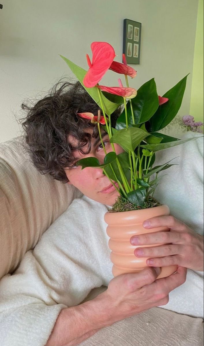 behadi2's tweet image. heyy i’m new to #langtwt 

-16
- she/her
- currently a junior in hs
- fluent in english , i know a little french 
- currently learning spanish 🇪🇸  and some japanese 🇯🇵 
- i’m from ny