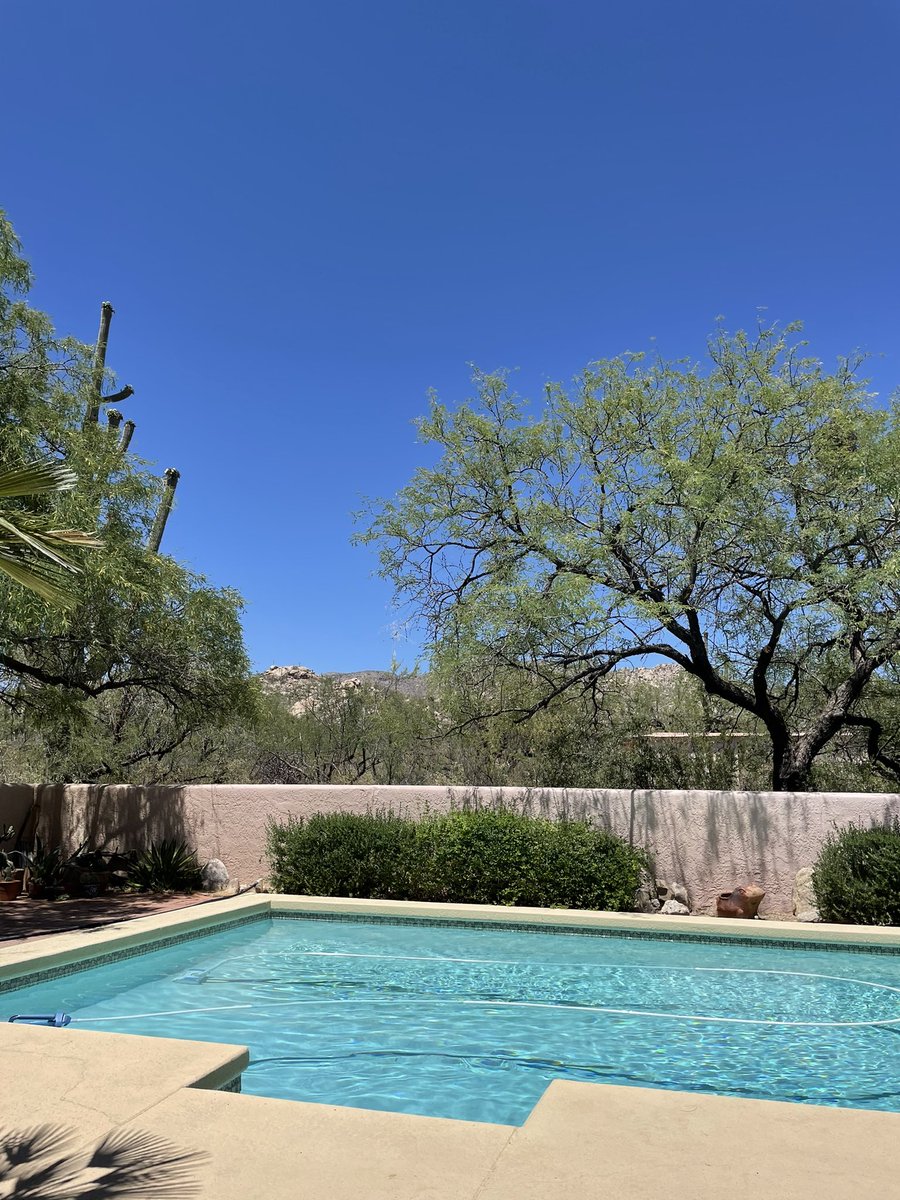 dustindena's tweet photo. Today’s work view. Perks of working remote and having family in amazing places ✨#RemoteWork #DesertLife #WorkView https://t.co/o7qeTPHEgI
