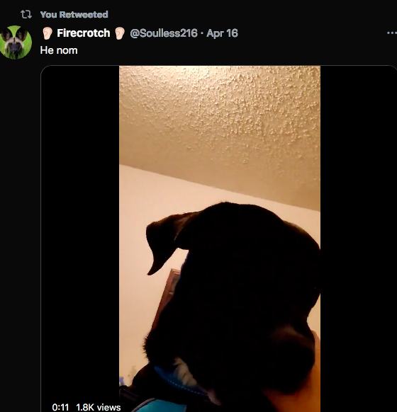 KnottyKelly's tweet photo. // nsfw , bestiality 
-
-
I'm making this thread because Zoophiles have been sniffing out this account as bait, which is true. I am Zoophilestruggs and I have a LOT of exposing to do on this sick and degenerate community 

I will be deactivating this account in a week. 

THREAD https://t.co/RWio7ZnojV