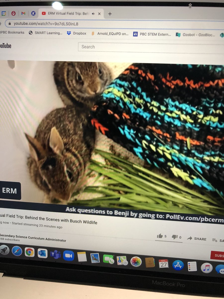 LArnold87's tweet photo. Thanks to PBC ERM and @BuschWildlife for hosting a virtual field trip! It was great to learn about our native animals and how employees at the Sanctuary helps them. #explorewithERM  @PBCSTEM @PBCSDScience https://t.co/UmvmudhvuO