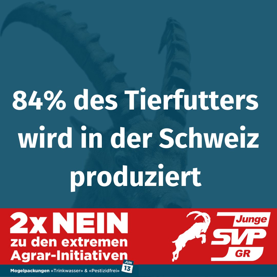 JSVP_GR's tweet photo. Die Schweiz produziert 84% des Tierfutters selbst. Eine Branchenstrategie ist daran, den inländischen Anbau weiter zu fördern. Wir kaufen nur gentechfreies Futter. Die Landwirtschaft bewegt sich. Darum 2xNein
#jsvp #jsvpgr #abstimmungen @extreme_nein @sbv @BuendnerBauern https://t.co/DBj7W0t2fk