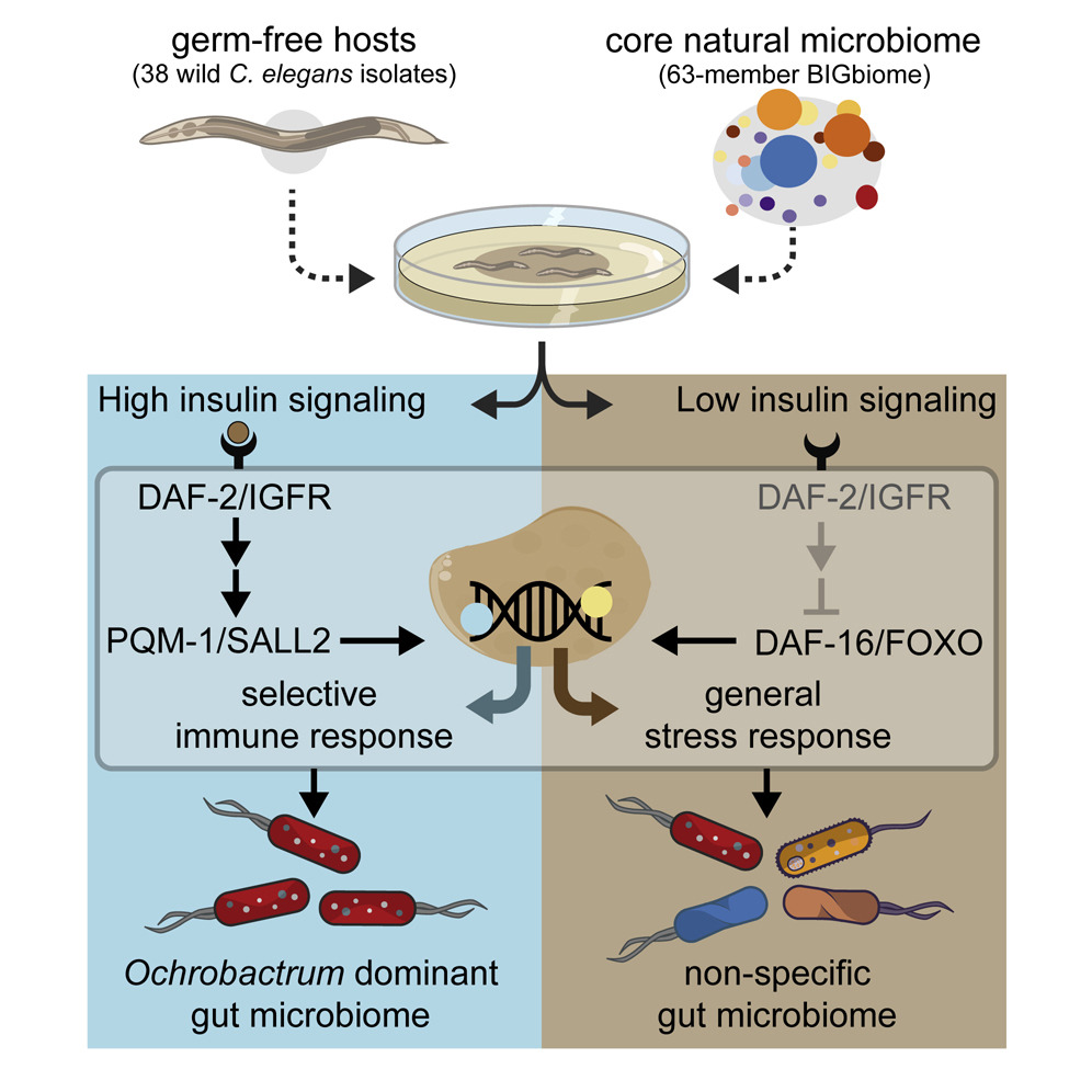 Buck Samuel tweet media