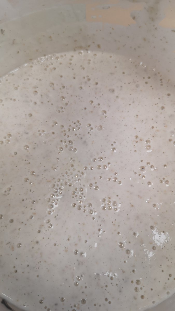 Warming up for sourdough bread baking for tomorrow.