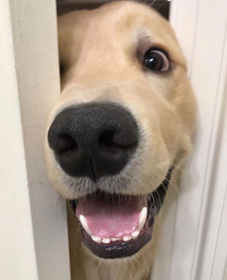 When someone mentions a trip to B&amp;M x