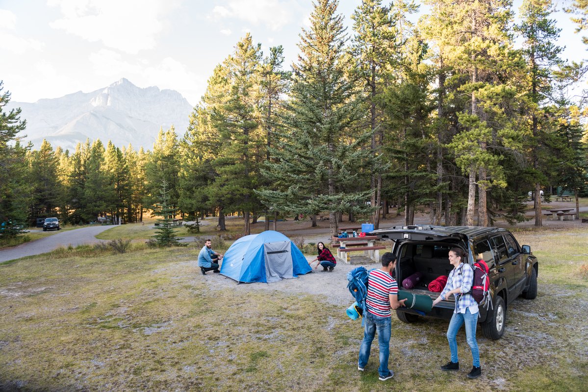 ParksCanada's tweet photo. Show nature🌿 some respect, and inspect! 
Inspect your campsite and pack out all trash, leftover food, and litter. #LeaveNoTrace #KeepWidlifeWild #ParksSmart

Learn more about how you can camp safely this summer: ➡ https://t.co/C7Bxg9ZJnl https://t.co/GqdsKiIAQ9