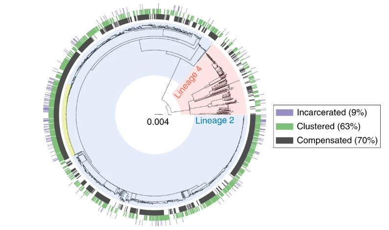 NatureMedicine's tweet photo. Understanding the role of prisons as ecological drivers of highly transmissible, multidrug-resistant Mycobacterium tuberculosis strains.

https://t.co/ukMMkSpgWC @GygSeb @ChloeMLoiseau @sgagneux1 #tuberculosis #genomics #epidemiology https://t.co/vht0rBDwCZ
