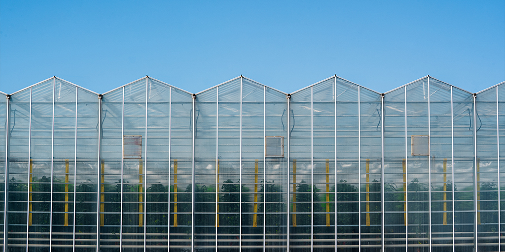 Nature_Fresh's tweet photo. It's always a beautiful day to grow inside 🌱 Learn more about #HowWeGrow better &amp; care more for our plants &amp; our planet: https://t.co/WEnhafE4m2 https://t.co/gTTGi3YkR9