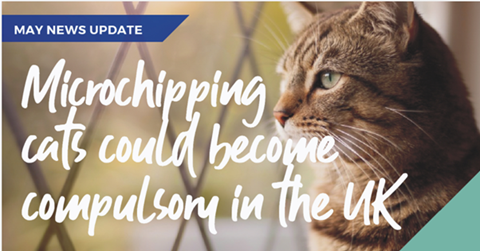 surbitonvet's tweet photo. The Department for Environment, Food and Rural Affairs (DEFRA) announced that #microchipping could become compulsory for #cats in the United Kingdom as part of an Action Plan for Animal Welfare. Is your #cat #microchipped and are their details up to date? https://t.co/kvbYuMJ4en