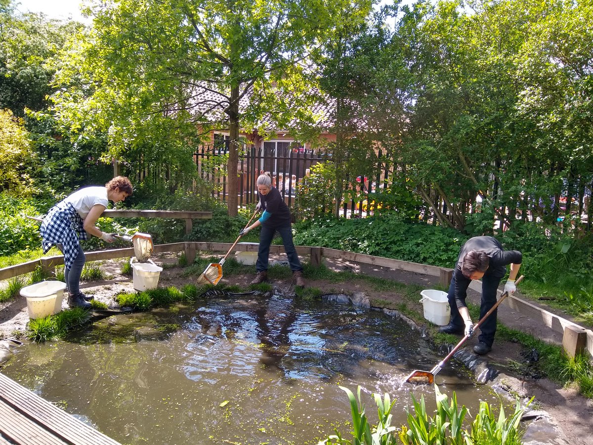 ecoyorkcyc's tweet photo. Weeded, edged &amp; mulched. Thx @Portakabin_R vols from @YorkCares for gardening am &amp; fishing pm. 30+ fish removed 2 restore natural ecosystem in wildlife pond. We like fish but they eat frogspawn &amp; other wildlife so plz don't put fish in there @CityofYork @WestBankPark @HolgateWard https://t.co/K66rGbp8Bm