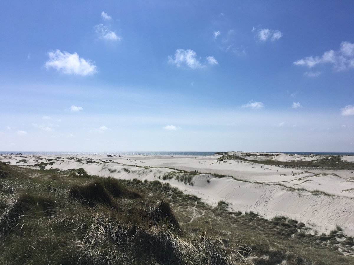 knipskasje's tweet photo. Arke tooch smok!
(Jedesmal schön!)

#Amrum #Nordsee #Dünen https://t.co/Wk96zvlumB