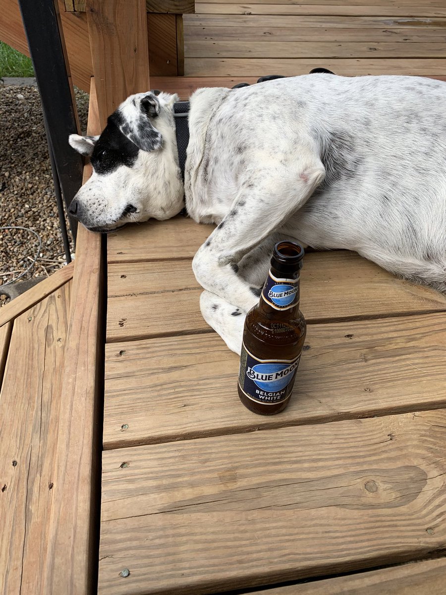lostinstl72's tweet photo. Starting my loooong weekend today. Me and my dog and my beer. #drinkingbeforenoon https://t.co/iqL8sYiguU