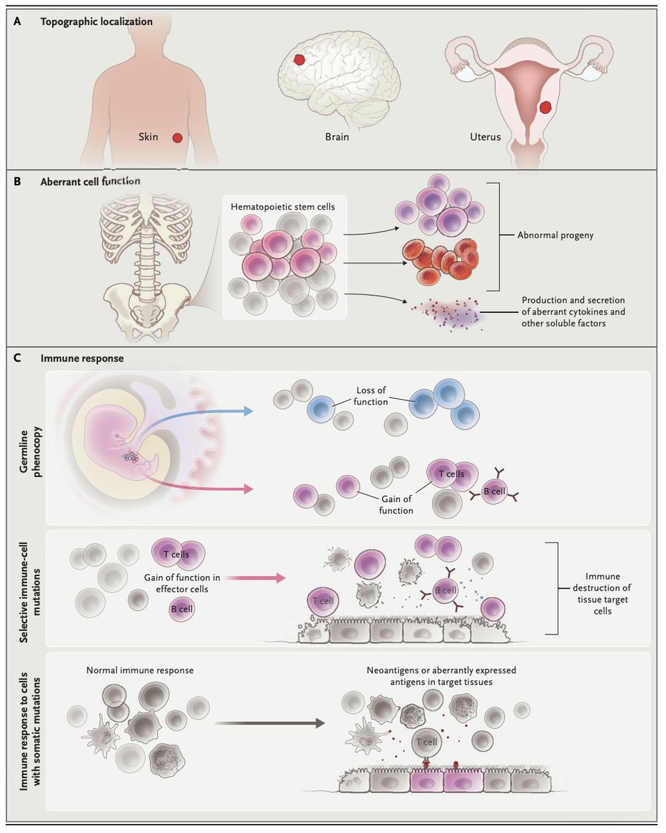 Somatic mutations and clonality are widespread across tissues. They may inform the diagnosis, classification, and monitoring of many nonmalignant diseases, in addition to cancers. nejm.org/doi/full/10.10… <a href="/NEJM/">NEJM</a>
