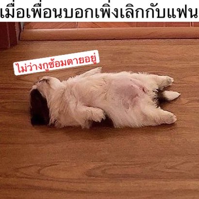 bbigkachu's tweet photo. ไม่อยากเป็นหมาแล้ว กูเบื่ออาหารเม็ด 5555555555555555555555 https://t.co/6RwU1FonmX
