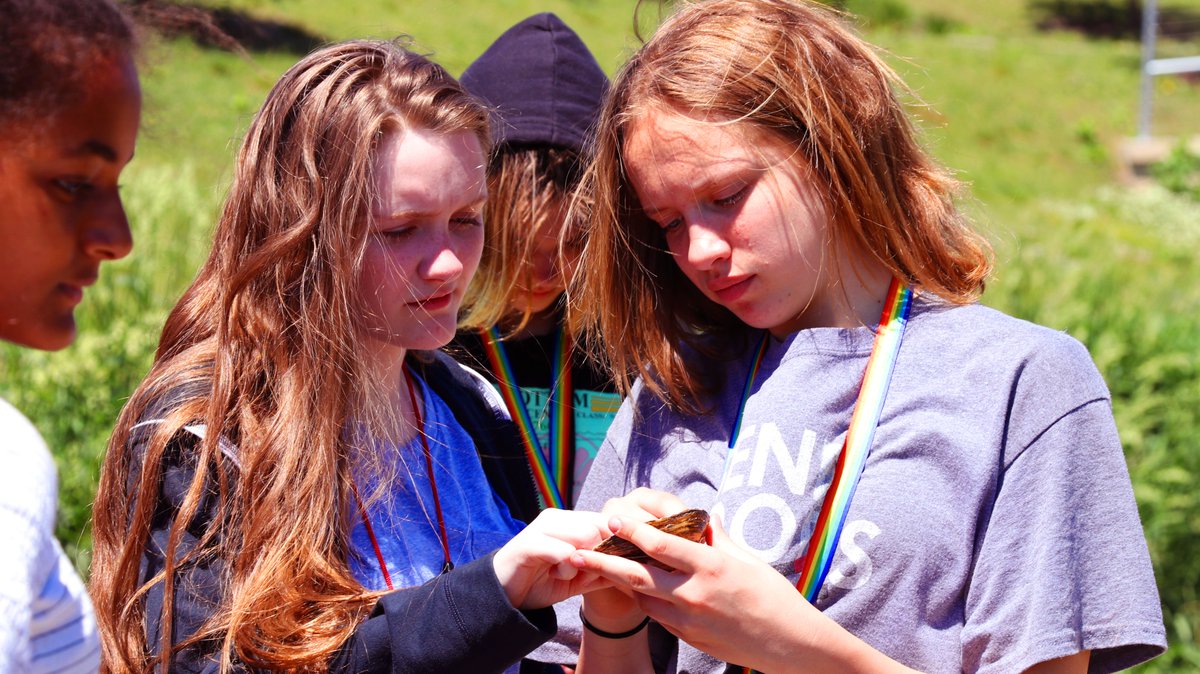 dbqschools's tweet photo. Yesterday @tjmsdbq 7th graders trekked over to the Bee Branch to experience the wonders of our local ecosystem and learn about the impact of various pollutants from community experts. https://t.co/3EyleUWQ2H