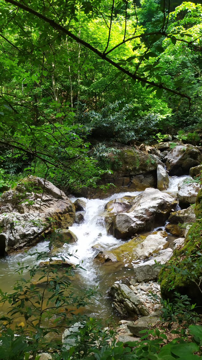 Muhteşem bir doğa, muhteşem bir rota.🌳
📍Bursa Oylat Ekoturizm rotası
#YeşilNefes