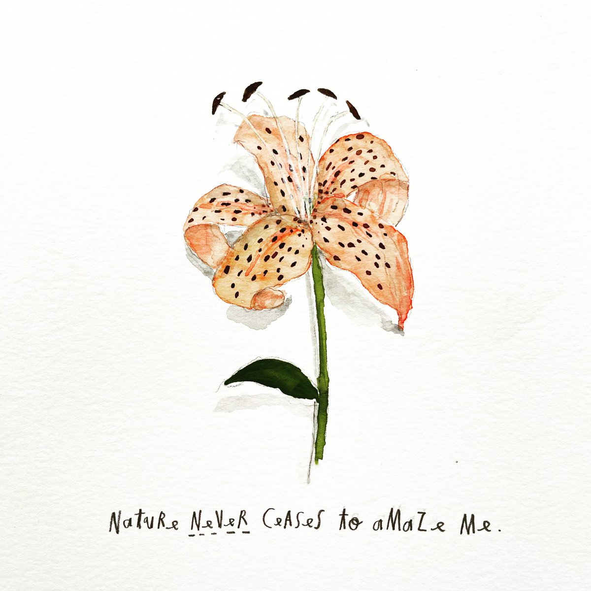 𝚜𝚔𝚎𝚝𝚌𝚑 𝚍𝚞 𝚓𝚘𝚞𝚛. ✍🏼
mother nature at her finest.