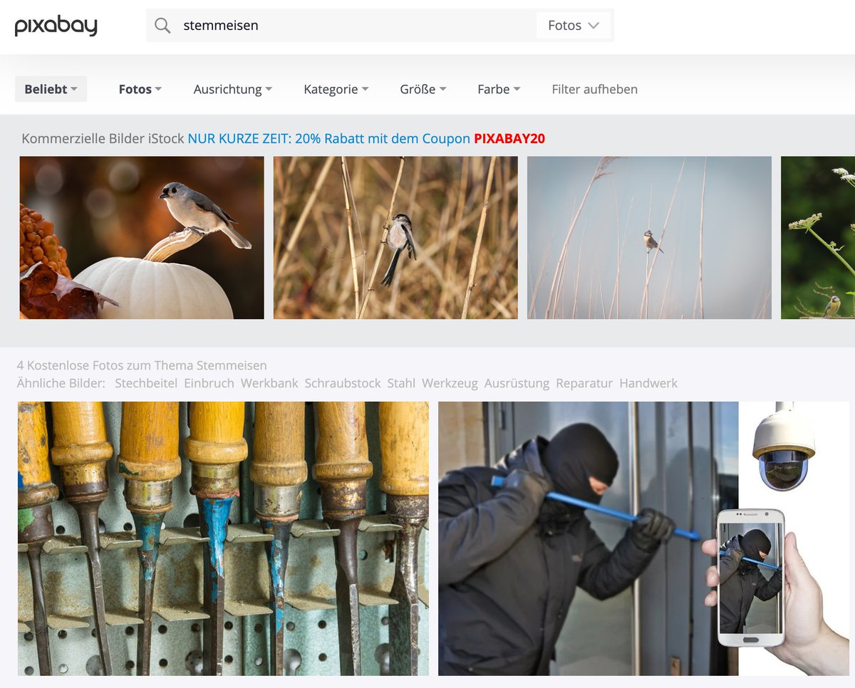 nettwerkerin's tweet image. Was für ein netter #algorithmfail! 

Kennt ja jeder, die berühmten Stem-Meisen!