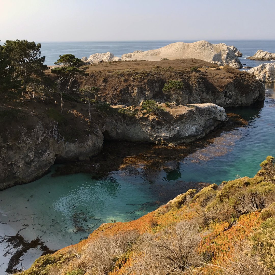 CAStateParks's tweet photo. 🌊#SaveTheDate: Dive into #WorldOceanDay w/ @portsprogram &amp; @MontereyAq on Tues June 8! Our #CAStateParks #scuba divers 🤿 will be broadcasting LIVE UNDERWATER @PointLobosSNR. We will visit #CaliforniaMPAs along our coast &amp; learn actions we can take to protect out global #ocean! https://t.co/YV5ew1HO4h