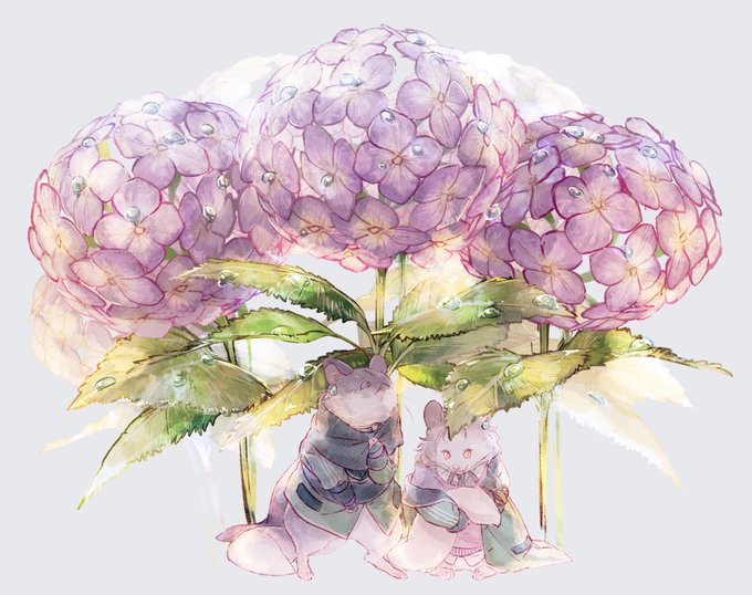 「紫陽花」のTwitter画像/イラスト(新着｜RT&Fav:50)｜21ページ目