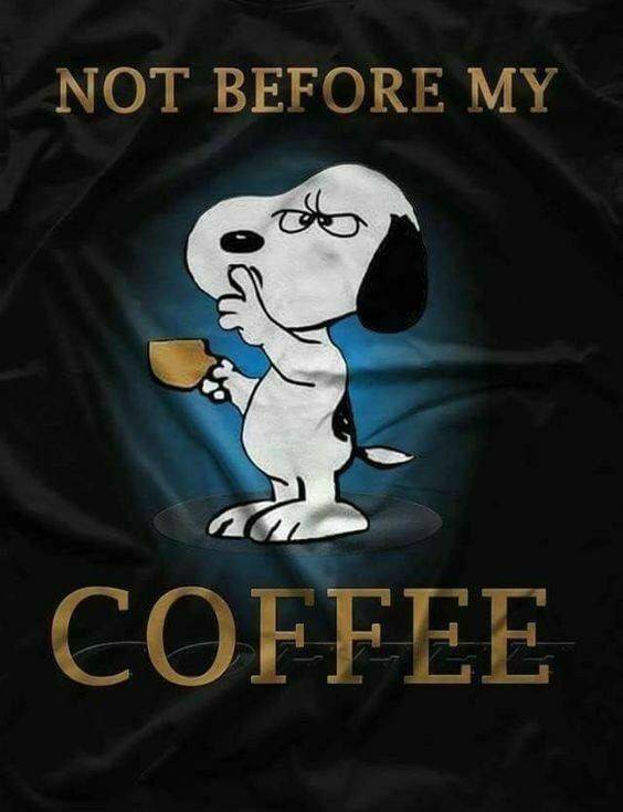 Your_Coffee_Fix's tweet photo. Shhhh, not yet. ๐คซ #HappyFridayEve
#morningjoe #almostfriday #coffeemeplease #coffeecrew #baristalove #coffeesesh #coffeewithfriends #needcoffee https://t.co/1NOCsySCqU