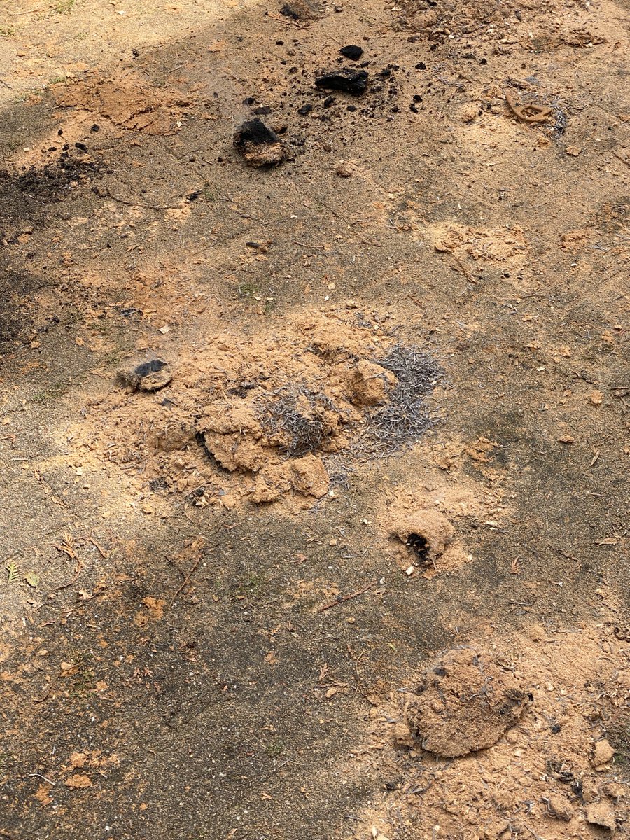Vanmorgen vroeg uitgerukt voor een koolmonoxide-alarm aan het Norderstedtplein in Zwijndrecht. Gelukkig loos alarm. Vanmiddag zijn we ingezet bij een brand in een zaagselopvang bij een bedrijf aan de Veersedijk, daar konden we erger voorkomen.