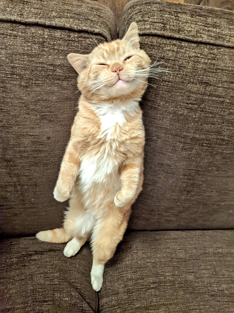 im warm ,im safe ,im happy !