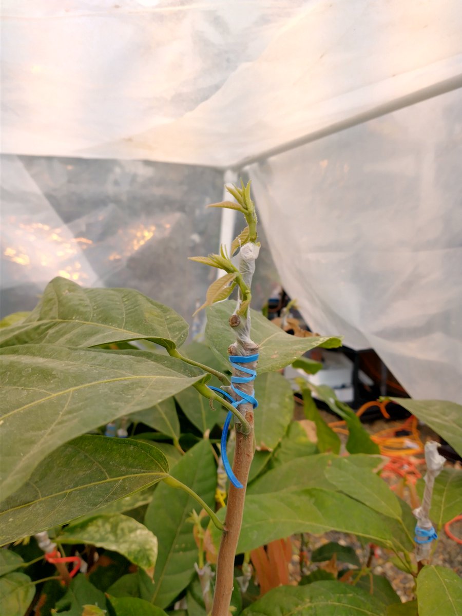 Jennifer Schmidt tweet media