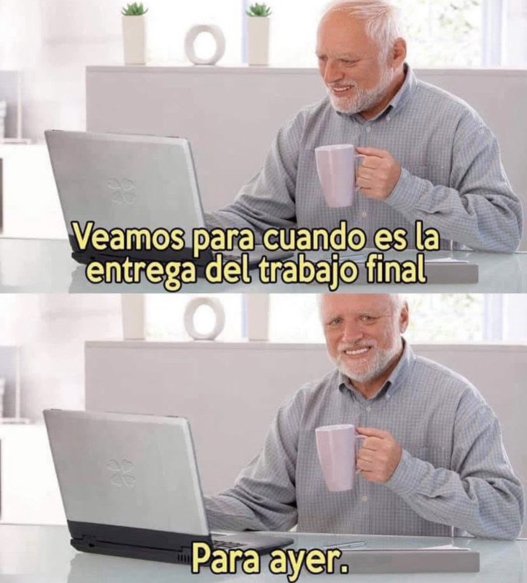 HELLO MONDAY ® tweet media