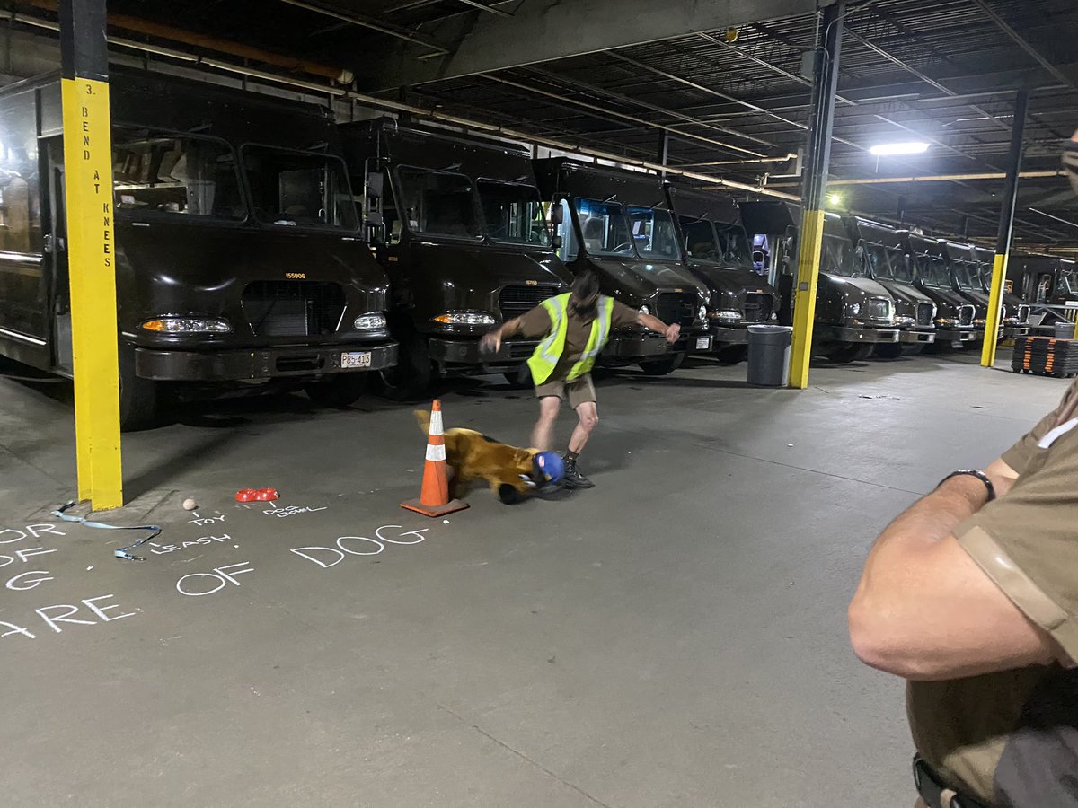 steve clarke (@steveclarke1970) on Twitter photo <a href="/steveclarke1970/">steve clarke</a> Quincy Center dog bite prevention demo thanks to safety members Jason and Mike for not only making this fun but very informative. <a href="/QuincySafety/">QuincySafety</a> <a href="/amy_madeira/">Amy Madeira</a> <a href="/hexadecadiene/">Jayson Dinielli</a> <a href="/ron_mayorga1/">Ron Mayorga</a> <a href="/safetyfirstNED/">Northeast District Safety</a> <a href="/steveclarke1970/">steve clarke</a> Quincy Center dog bite prevention demo thanks to safety members Jason and Mike for not only making this fun but very informative. <a href="/QuincySafety/">QuincySafety</a> <a href="/amy_madeira/">Amy Madeira</a> <a href="/hexadecadiene/">Jayson Dinielli</a> <a href="/ron_mayorga1/">Ron Mayorga</a> <a href="/safetyfirstNED/">Northeast District Safety</a>