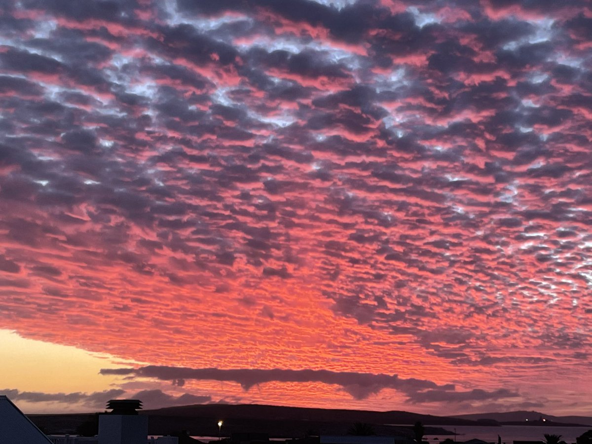 iCandi,Bungee, Sox & Coco 🌈Tygerpoo 🇿🇦 tweet media