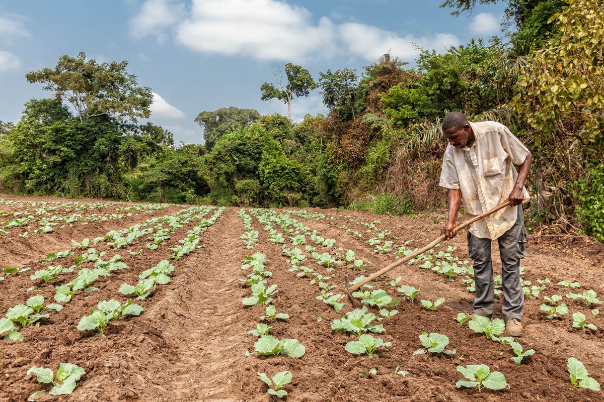 ⚠️ Climate change is threatening the opportunities that agriculture 🚜 offers for escaping poverty. 

💡 Learn about policies for mitigating climate impacts on Nigeria’s and Uganda’s farmers in a new publication by <a href="/IFPRI/">IFPRI</a>’s <a href="/A_Mulubrhan/">Mulubrhan Amare</a> 👉 bit.ly/3wEeedO

<a href="/USAIDNigeria/">USAID/Nigeria</a>