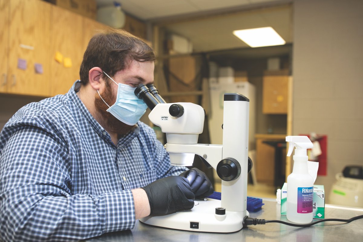 EmporiaStateAlumni tweet media