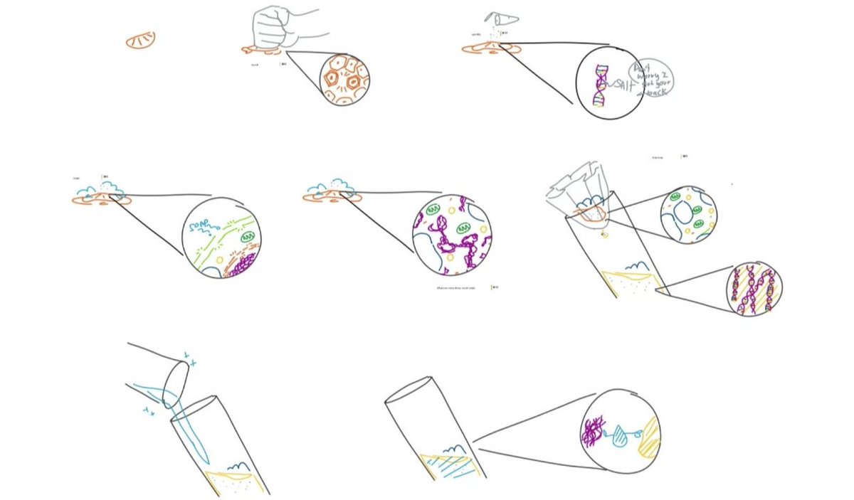 Learning about DNA extraction today during <a href="/OdysseyPUSD/">Odyssey STEM Academy</a> exhibitions!
