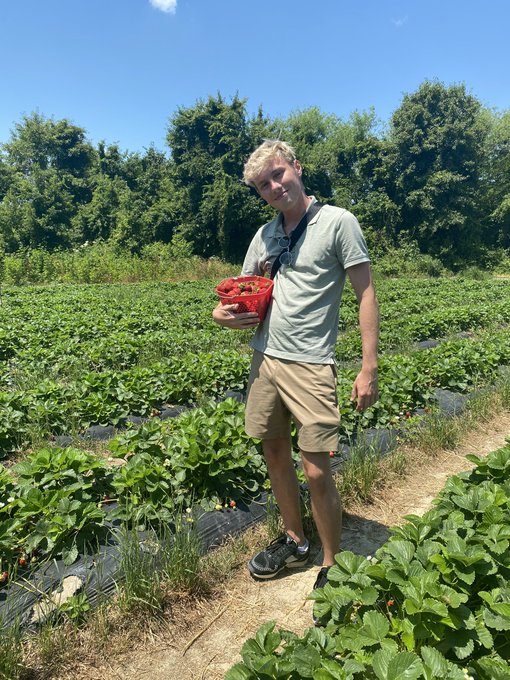 Went strawberry picking https://t.co/X2UK7pt7Un