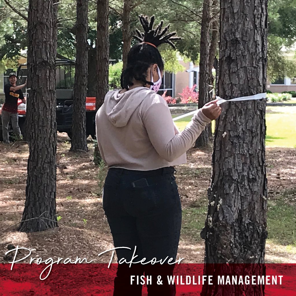 OgeecheeTech's tweet photo. FWMT students had an opportunity to use their skills this week while identifying and marking diseased trees around campus.
#FWMT #ProgramTakeover # WeAreOTC #EssentialWorkforce https://t.co/6bKphFZdhr