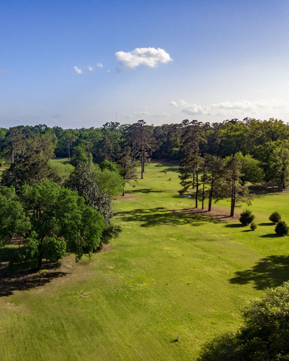 CourseScout's tweet image. Sneak Peek of Natchez Golf Club 
See all of our golf courses at coursescout.io/courses/