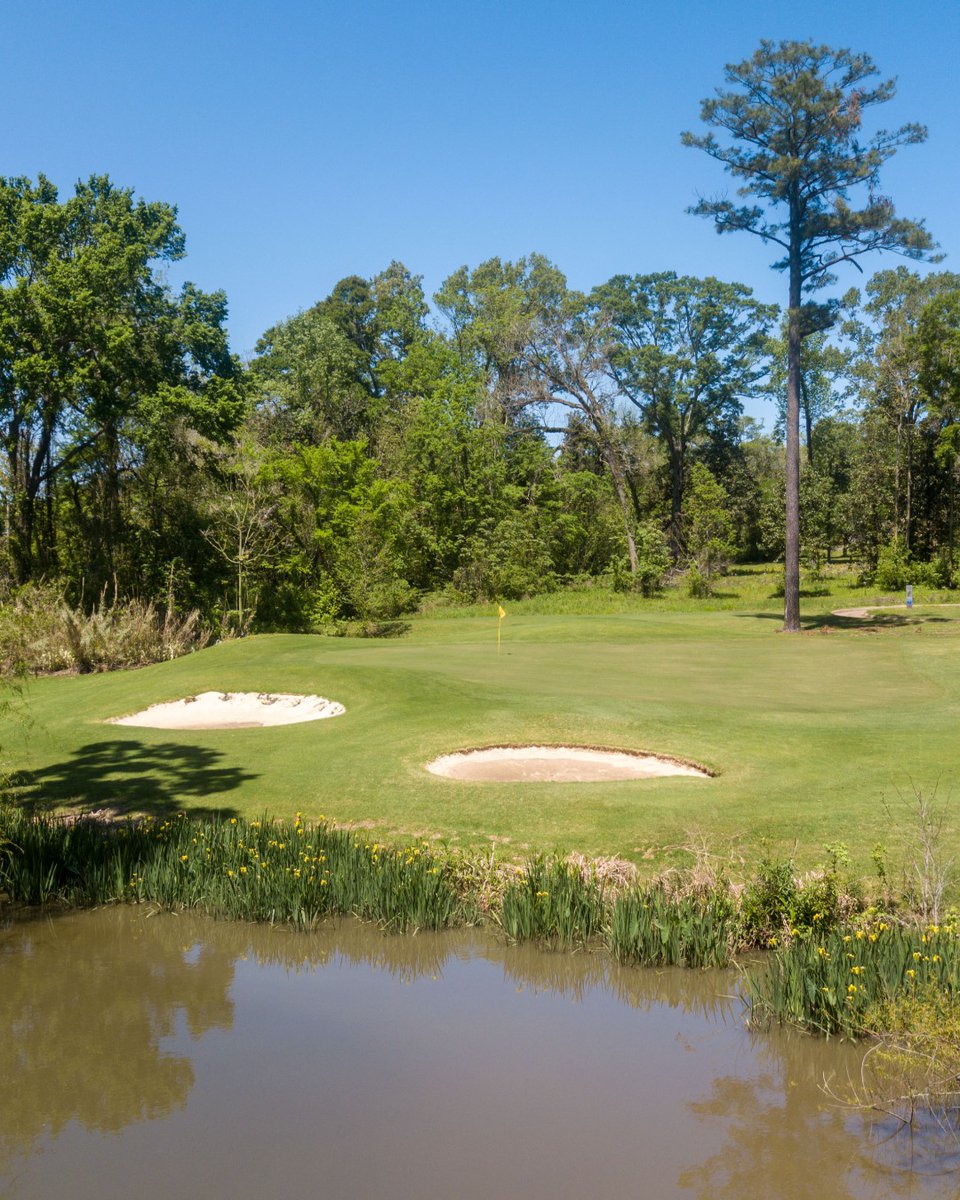 CourseScout's tweet image. Sneak Peek of Natchez Golf Club 
See all of our golf courses at coursescout.io/courses/