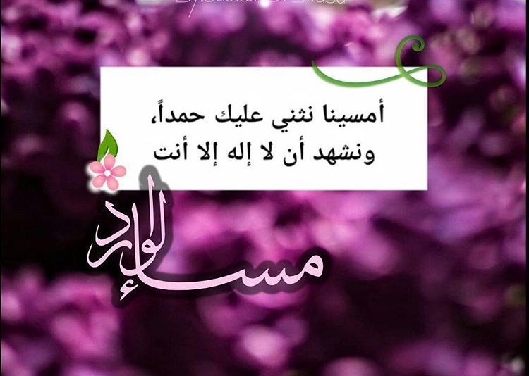 🌸

عيشوا على حسن الظن بربكم و ترقبوا الأجمل
🌸🌸